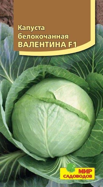 Капуста валентина описание сорта фото Капуста Мир Садоводов Капуста белокочанная "Валентина F1" - купить по выгодным ц