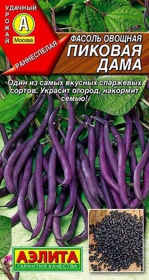 Фасоль Аэлита Фасоль Мир семян_фиолетовый - купить по выгодным ценам в ...
