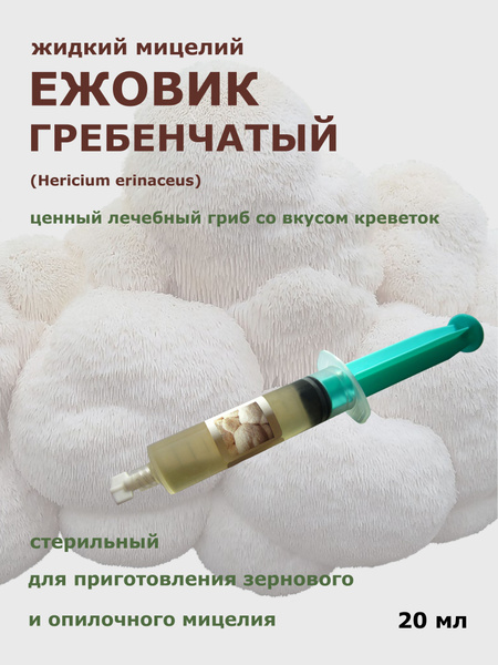 Жидкий мицелий грибов Ежовик гребенчатый 20 мл. - купить по выгодным ...