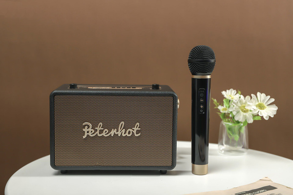 Bluetooth-аудиосистема с 1 микрофоном PETERHOT - купить с доставкой по ...