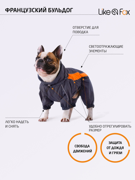 Дождевик для французского бульдога и мопса Like a Fox - купить с ...