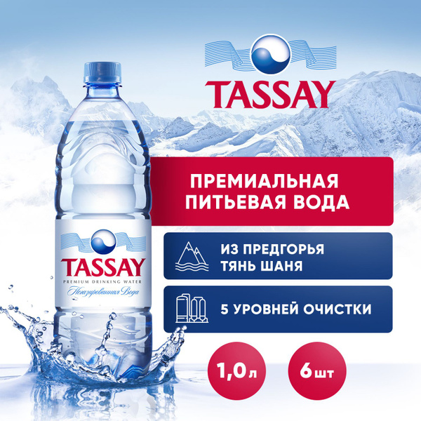 Вода негазированная Tassay природная, 6 шт х 1 л - купить с доставкой ...