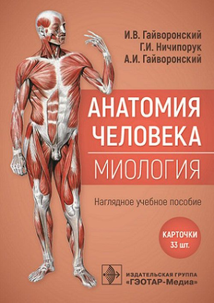 Анатомия человека. Миология. Карточки. Наглядное учебное пособие ...