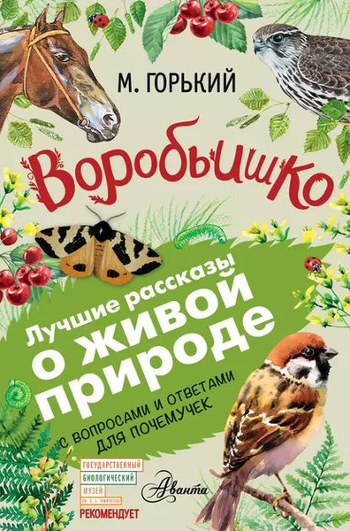Воробьишко. Рассказы с вопросами и ответами для почемучек | Горький ...