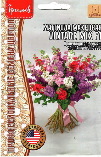 Маттиолы Григорьев Однолетник_1_разноцветный_ВИНТАЖ Микс - купить по ...