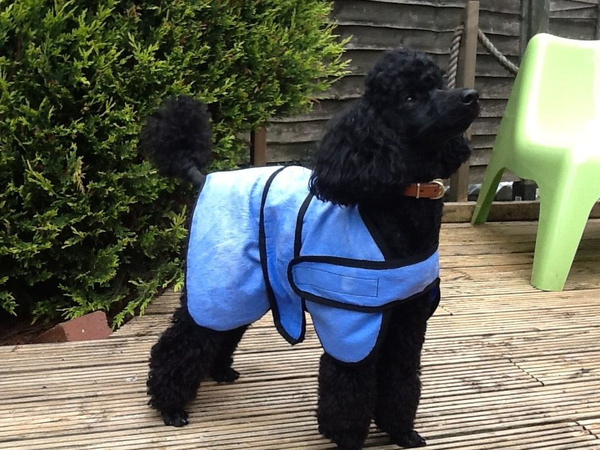 Охлаждающий жилет для собак мелких и средних пород Попона охлаждающая ...