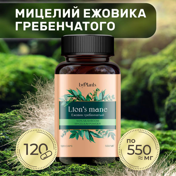Мицелий Ежевика Гребенчатого / Lion's mane Mycelium в капсулах 120 шт ...