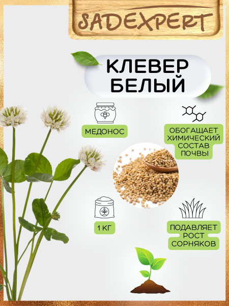 Сидераты, Различные травы Sadexpert Клевер Белый - купить по выгодным ...
