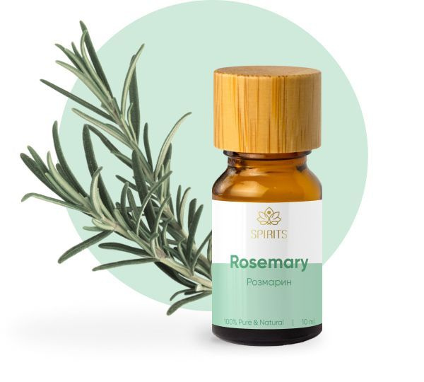 Эфирное масло, Масло для массажа, Розмарин (Rosemarinus officinalis), 5 ...