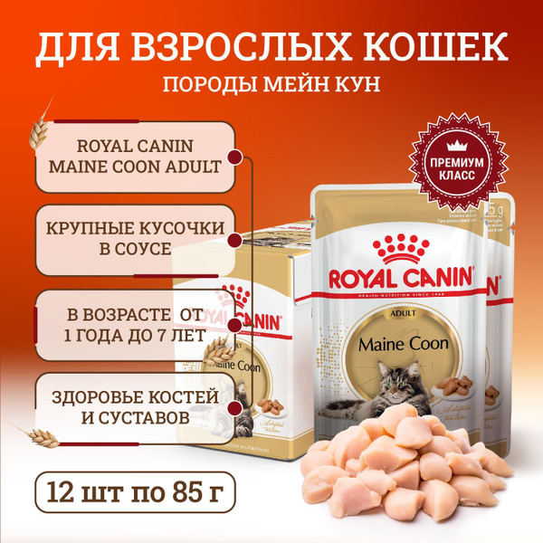 Влажный корм для кошек породы мейн-кун старше 15 месяцев кусочки в ...