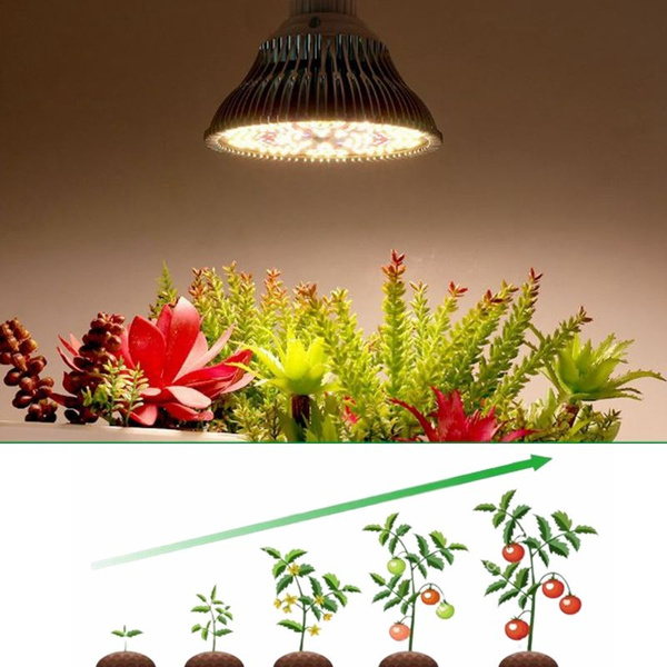 фитолампа для растений полный спектр,для комнатных растений, домашних .