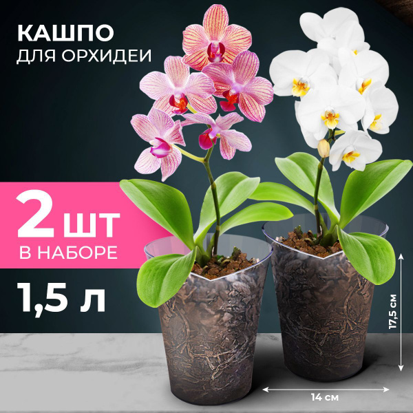 Кашпо для орхидей BMC, 2 шт в наборе по 1,5л, цвет прозрачный - купить ...