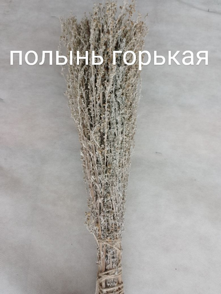Полынь Горькая - Веник для бани, купить в интернет-магазине OZON с ...