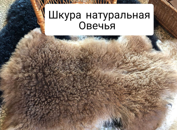 Овечья шкура - купить с доставкой по выгодным ценам в интернет-магазине ...