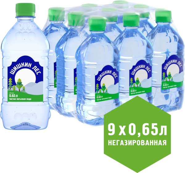 Вода негазированная Шишкин лес, 9 шт х 0,65 л - купить с доставкой по ...