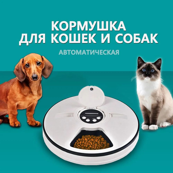 Автоматическая кормушка для кошек и собак - купить с доставкой по ...