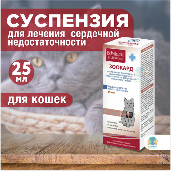 Суспензия для лечения заболеваний сердца для кошек Пчелодар Зоокард ...