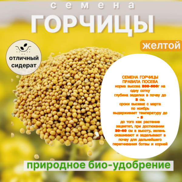 Различные травы горчица - купить по выгодным ценам в интернет-магазине ...