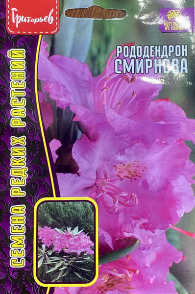 Рододендроны Григорьев Рододендрон Смирнова (10 семян) - купить по ...