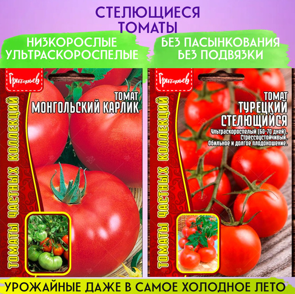 Томаты Редкие семена редкиетоматы_2_Стелющиеся - купить по выгодным ...