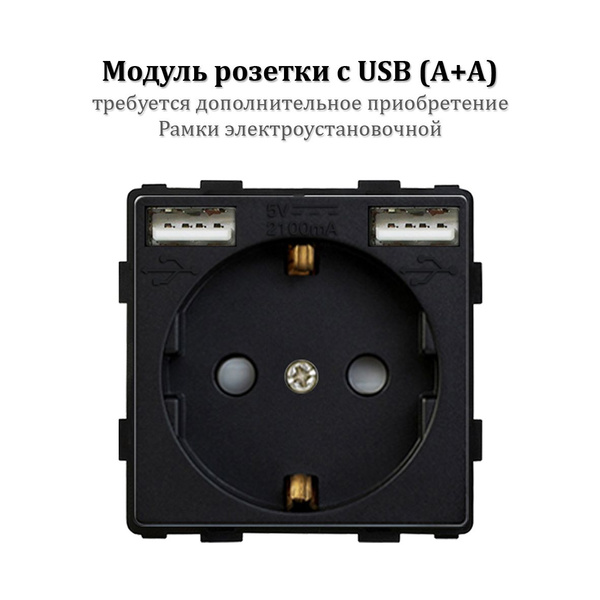 Розетка (модуль без рамки) электрическая с 2 USB (Type A+TypeA) с ...
