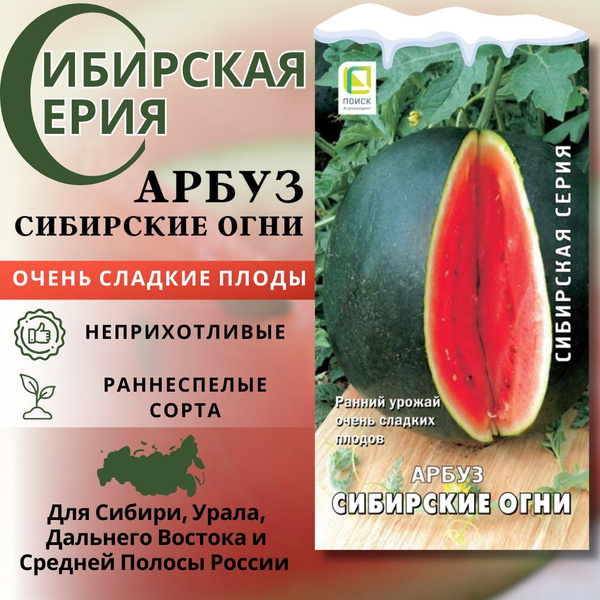 Семена Арбуза Сибирские огни (Сибирская серия) раннеспелый АГРОХОЛДИНГ ПОИСК 618