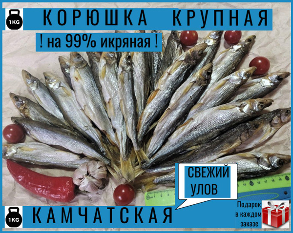 Корюшка вяленая, сушеная с икрой 1 кг/Рыба сушеная - купить с доставкой ...