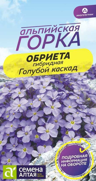 Многолетники для альпийской горки, Обриеты Семена Алтая Обриета Голубой ...