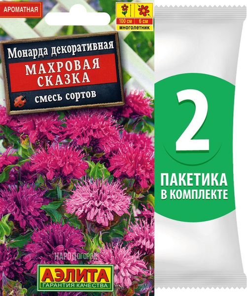 Монарда Аэлита Цветы многолетние_Монарда Махровая Сказка - купить по ...