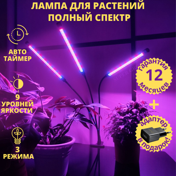 Фитолампа для растений, лампа для цветов - купить с доставкой по ...