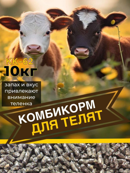 Комбикорм для телят КК-62 - купить с доставкой по выгодным ценам в ...