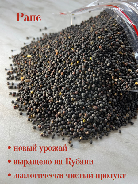 Семя рапса, рапс корм для домашних, лесных, уличных, декоративных птиц ...