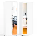 Томас Майн Рид. Серия 