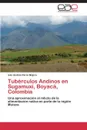 Tuberculos Andinos En Sugamuxi, Boyaca, Colombia - Perez Mojica Ivan Andres