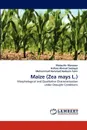 Maize (Zea mays L.) - Mubashir Manzoor, Hafeez Ahmad Sadaqat, Muhammad Hammad Nadeem Tahir