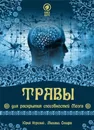 Травы для раскрытия способностей мозга - Михаил Омира