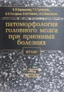 Патоморфология головного мозга при прионных болезнях: Атлас: Учебное пособие для слушателей системы последипломного образования - Кармышева В.Я., Гулевская Т.С., Погодина В.В. и др.