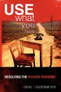 Use What You Have. Resolving the HIV/AIDS Pandemic - Roger W. Hoerl and Presha E. Neidermeyer