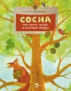 Сосна. Про мачты, янтарь и сосновые яблоки - Максимова Елена