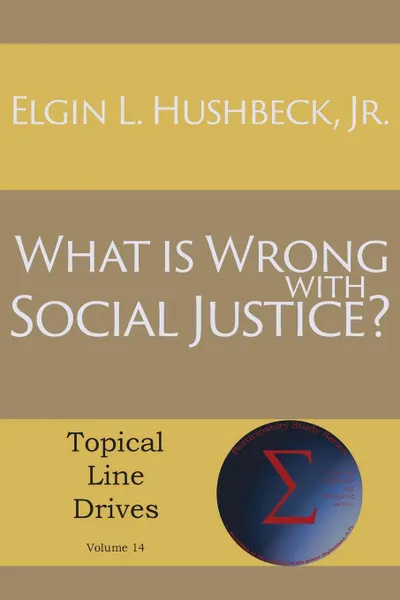 Обложка книги What Is Wrong with Social Justice, Jr. Elgin L. Hushbeck