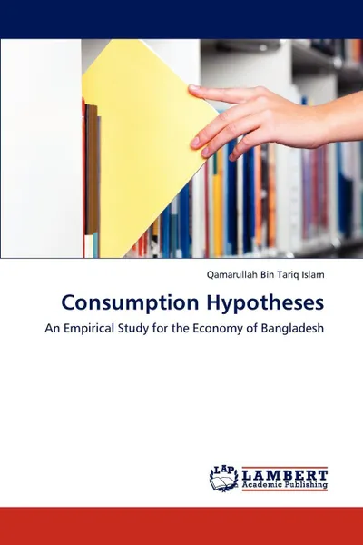 Обложка книги Consumption Hypotheses, Islam Qamarullah Bin Tariq