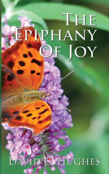 Обложка книги The Epiphany of Joy, David C. Hughes