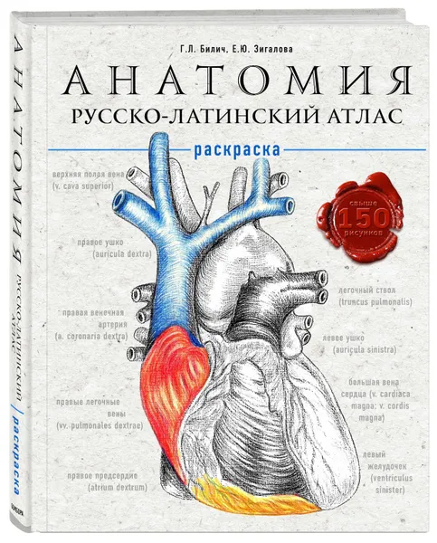 Обложка книги Анатомия: русско-латинский атлас-раскраска, Билич Габриэль Лазаревич, Зигалова Елена Юрьевна