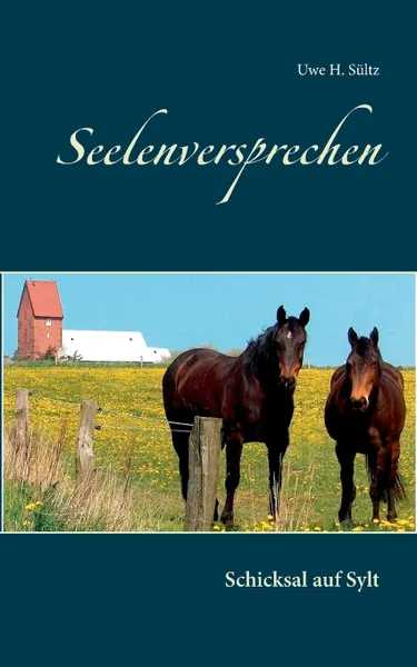 Обложка книги Seelenversprechen, Uwe H. Sültz