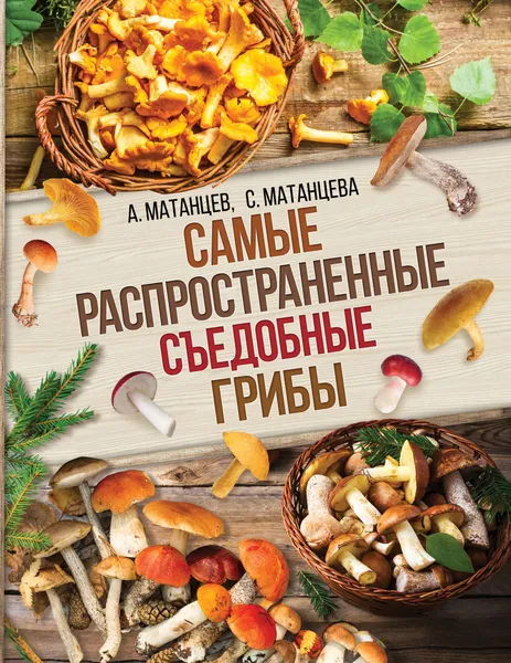 Обложка книги Самые распространенные съедобные грибы, Матанцев Александр Николаевич, Матанцева С. Г.