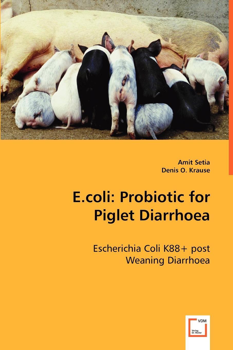 фото E.coli. Probiotic for Piglet Diarrhoea