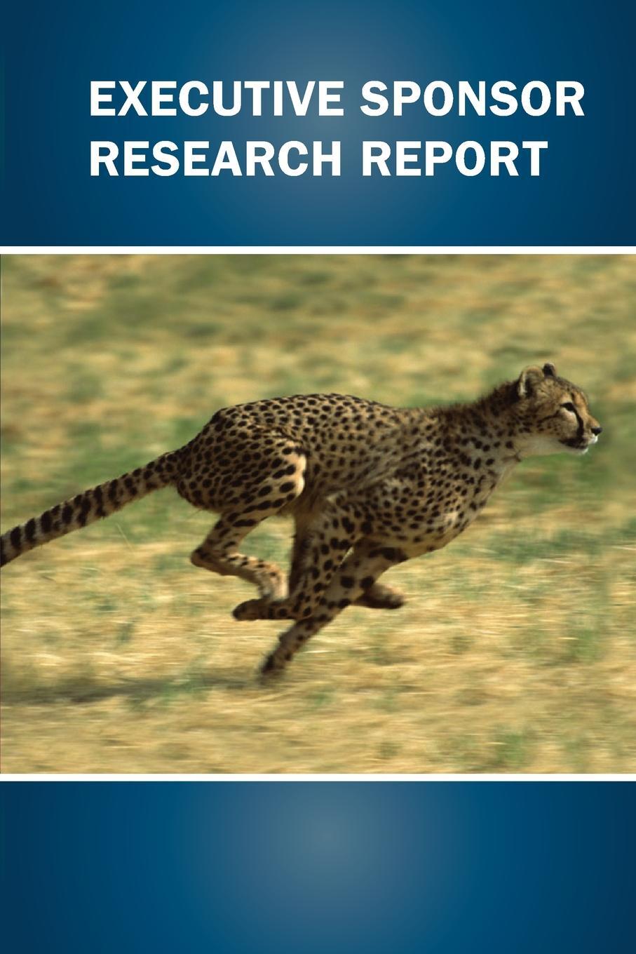 фото Executive Sponsor Research Report