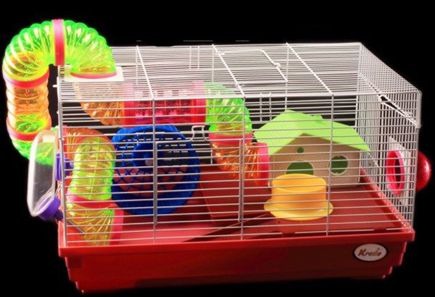 Kredo грызун. Kredo грызун. Клетка kredo 511b. Kredo грызун. Клетка для грызунов kredo 511в.