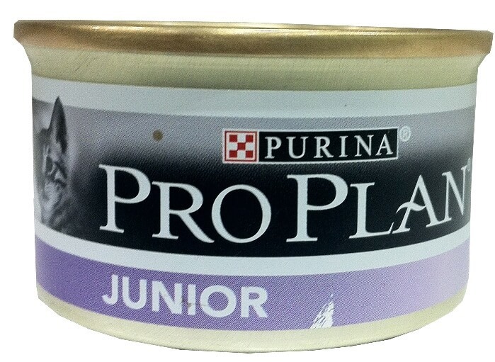 Pro plan для кошек паштеты. Проплан для котят паштет. Pro Plan Junior паштет. Pro Plan Junior для котят паштет. Pro Plan Junior для котят.