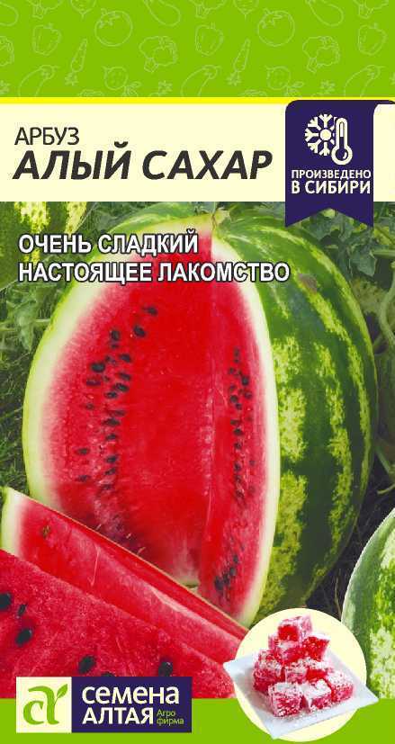 Арбуз Бай Интернет Магазин